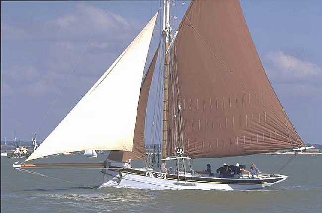 Picture of the East Coast smack Sallie CK224